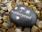 Pet Bird Memorial - Personalized Pebble (Stone Effect) - Weatherproof - Various Designs