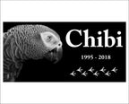 12x6 chicken Tombstone, chicken, roster, parrot, duck, bird memorial with your pet picture, graver marker, pet stone, dog headstone