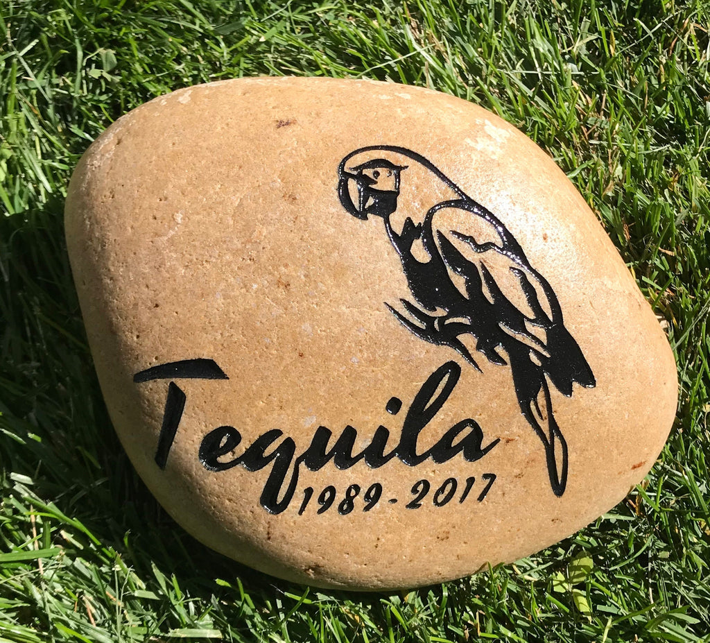 EXOTIC BIRDS Parrots, Cockatoo & more Breeds of Birds stones between 9”/10” or 7”/8" Memorial. Personalized Name Engraved Option to add Date