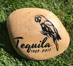 EXOTIC BIRDS Parrots, Cockatoo & more Breeds of Birds stones between 9”/10” or 7”/8" Memorial. Personalized Name Engraved Option to add Date