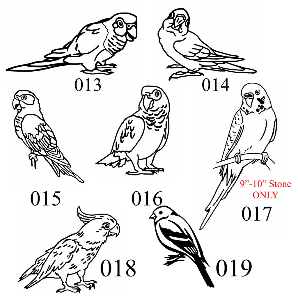 EXOTIC BIRDS Parrots, Cockatoo & more Breeds of Birds stones between 9”/10” or 7”/8" Memorial. Personalized Name Engraved Option to add Date