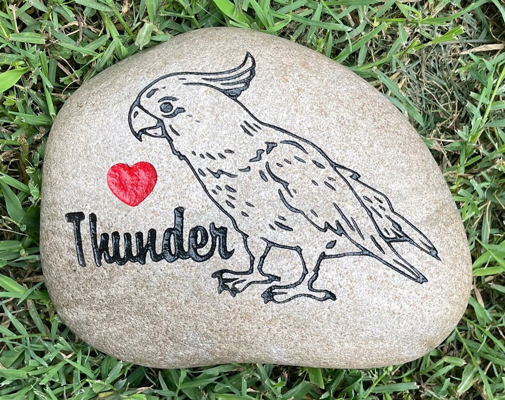 EXOTIC BIRDS Parrots, Cockatoo & more Breeds of Birds stones between 9”/10” or 7”/8" Memorial. Personalized Name Engraved Option to add Date