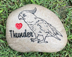 EXOTIC BIRDS Parrots, Cockatoo & more Breeds of Birds stones between 9”/10” or 7”/8" Memorial. Personalized Name Engraved Option to add Date
