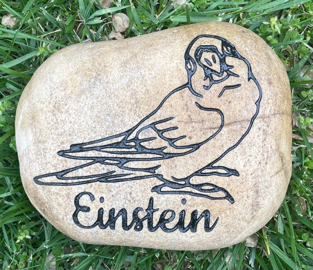 EXOTIC BIRDS Parrots, Cockatoo & more Breeds of Birds stones between 9”/10” or 7”/8" Memorial. Personalized Name Engraved Option to add Date