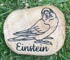 EXOTIC BIRDS Parrots, Cockatoo & more Breeds of Birds stones between 9”/10” or 7”/8" Memorial. Personalized Name Engraved Option to add Date