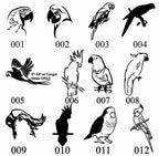 EXOTIC BIRDS Parrots, Cockatoo & more Breeds of Birds stones between 9”/10” or 7”/8" Memorial. Personalized Name Engraved Option to add Date