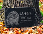 Engraved Granite Outdoor Memorial Plaque for Rabbits