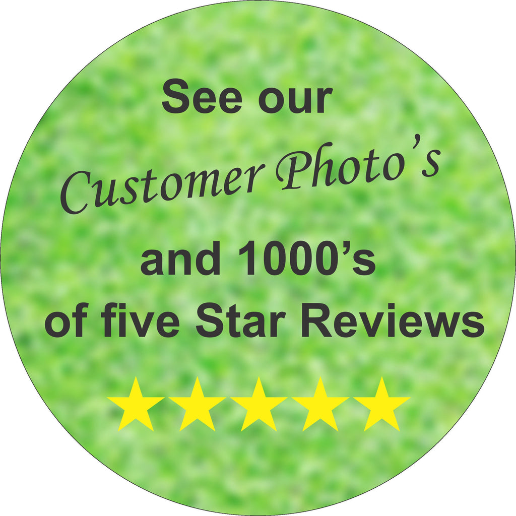 Pet Memorial Stone Grave Marker Granite Headstone