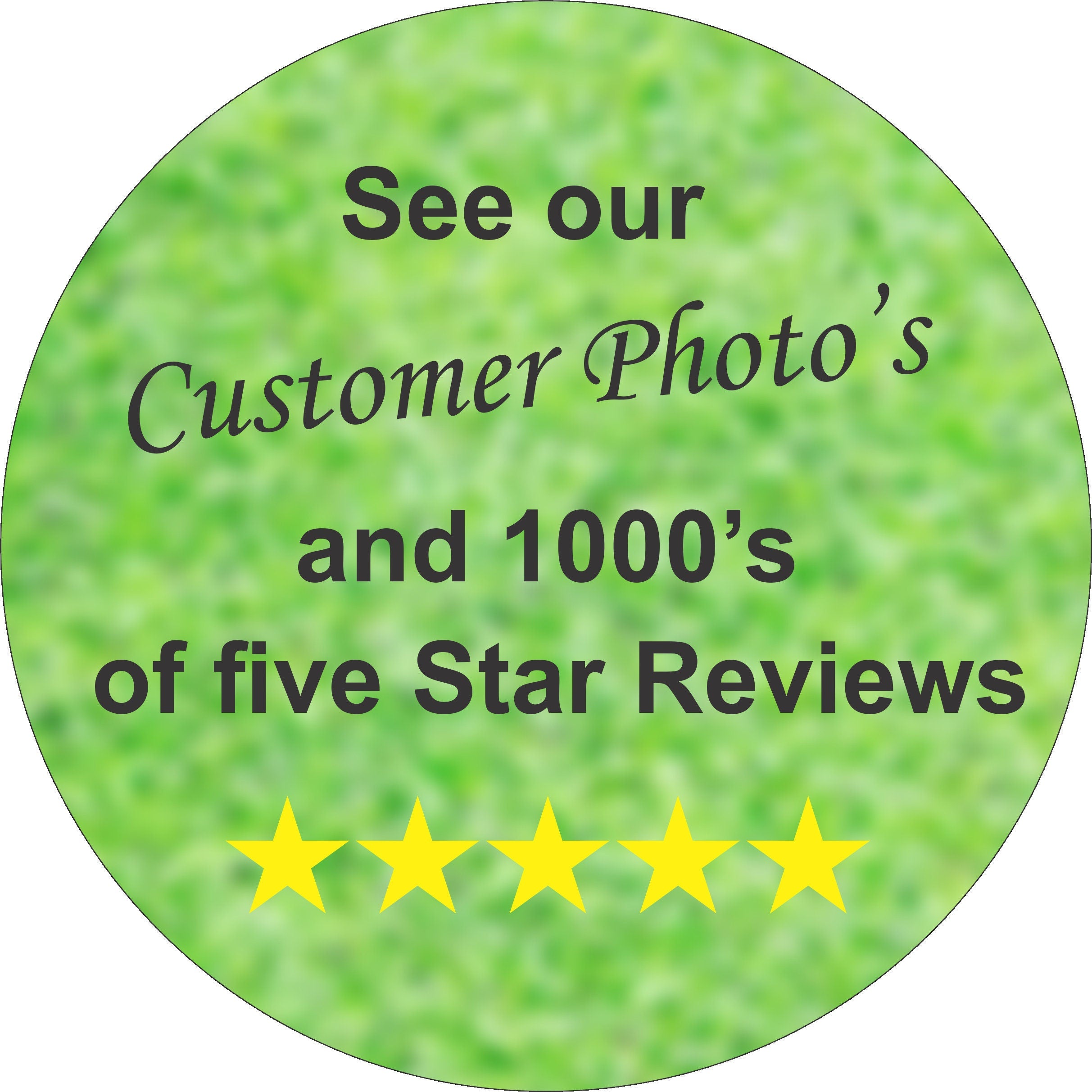 Pet Memorial Stone Grave Marker Granite Headstone