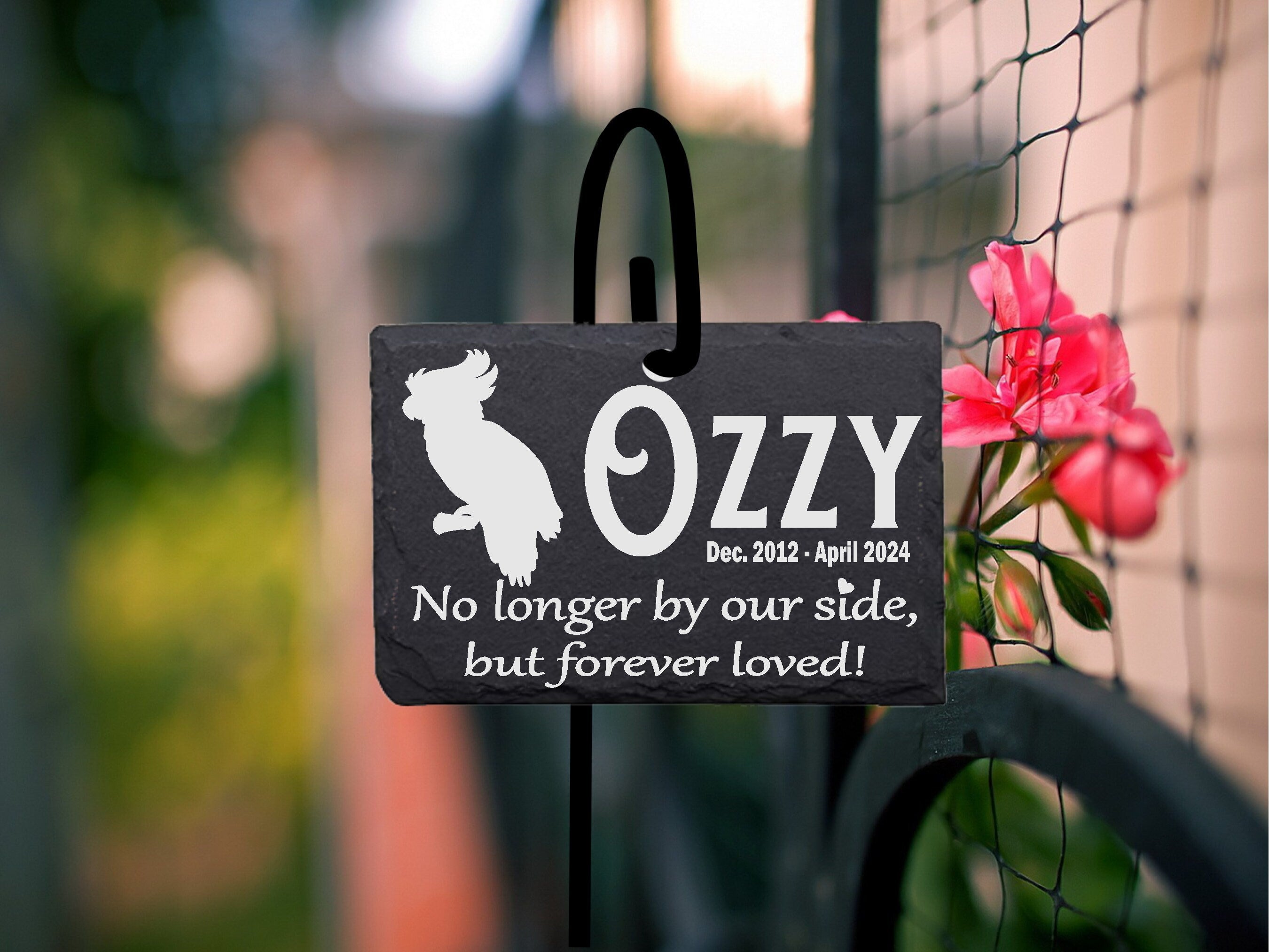 Parrot Memorial Stone Sign Quality Slate with Shepherd's hook Garden Marker Personalized Laser Engraved SLATE Gravestone with Stand