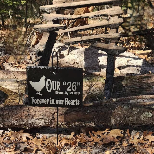 Parrot Memorial Stone Sign Quality Slate with Shepherd's hook Garden Marker Personalized Laser Engraved SLATE Gravestone with Stand