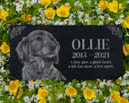 Personalized Engraved Headstone for Cats & Dogs