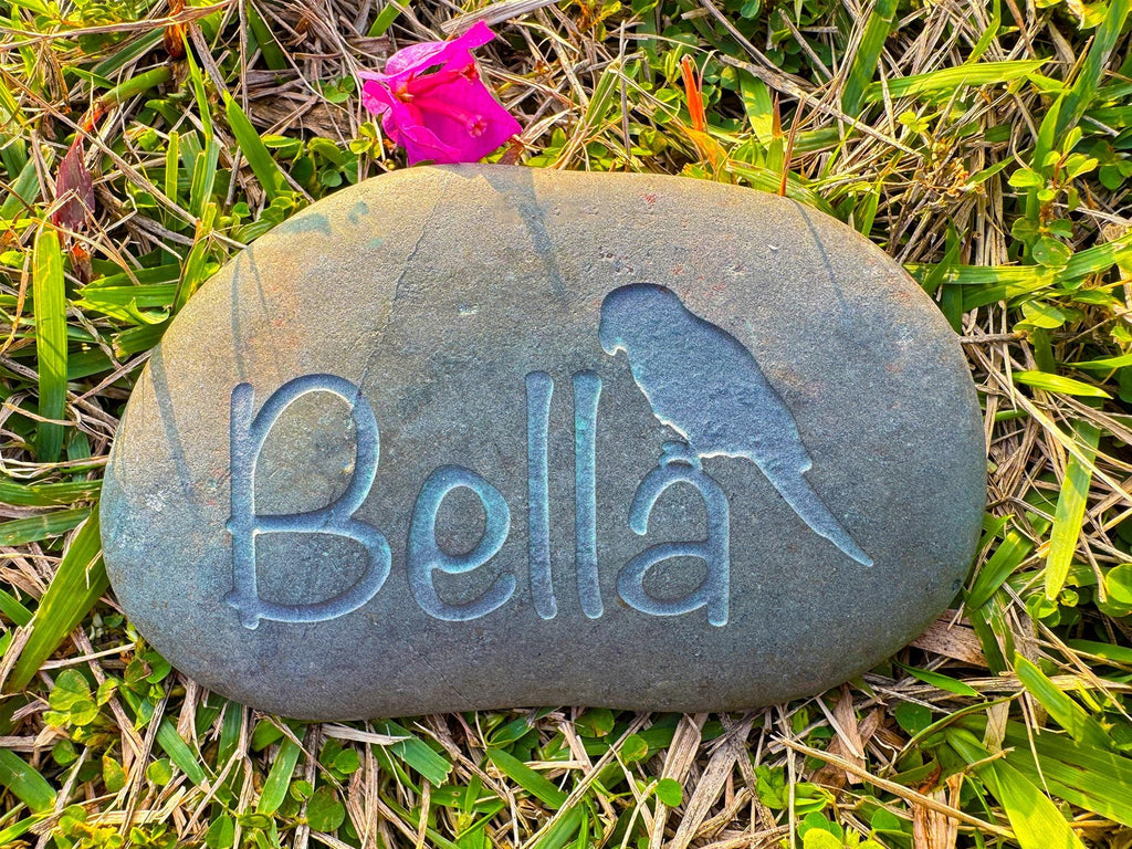 Custom Parrot Memorial Stone - Personalized Pet Memorial Stone, Natural River Stone Keepsake, Pet Parrot Tribute, birds Loss Gift