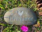 Personalized Chicken Memorial Stone - Custom Engraved Hen Tribute, Natural River Stone Pet Memorial Stone, Pet Loss Gift for Chickens