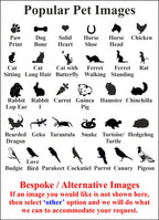 Pet Bird Memorial - Personalized Pebble (Stone Effect) - Weatherproof - Various Designs