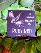 Parrot Memorial, Laser Engraved Slate Personalised Exotic Pets Design , 10cm/10cm