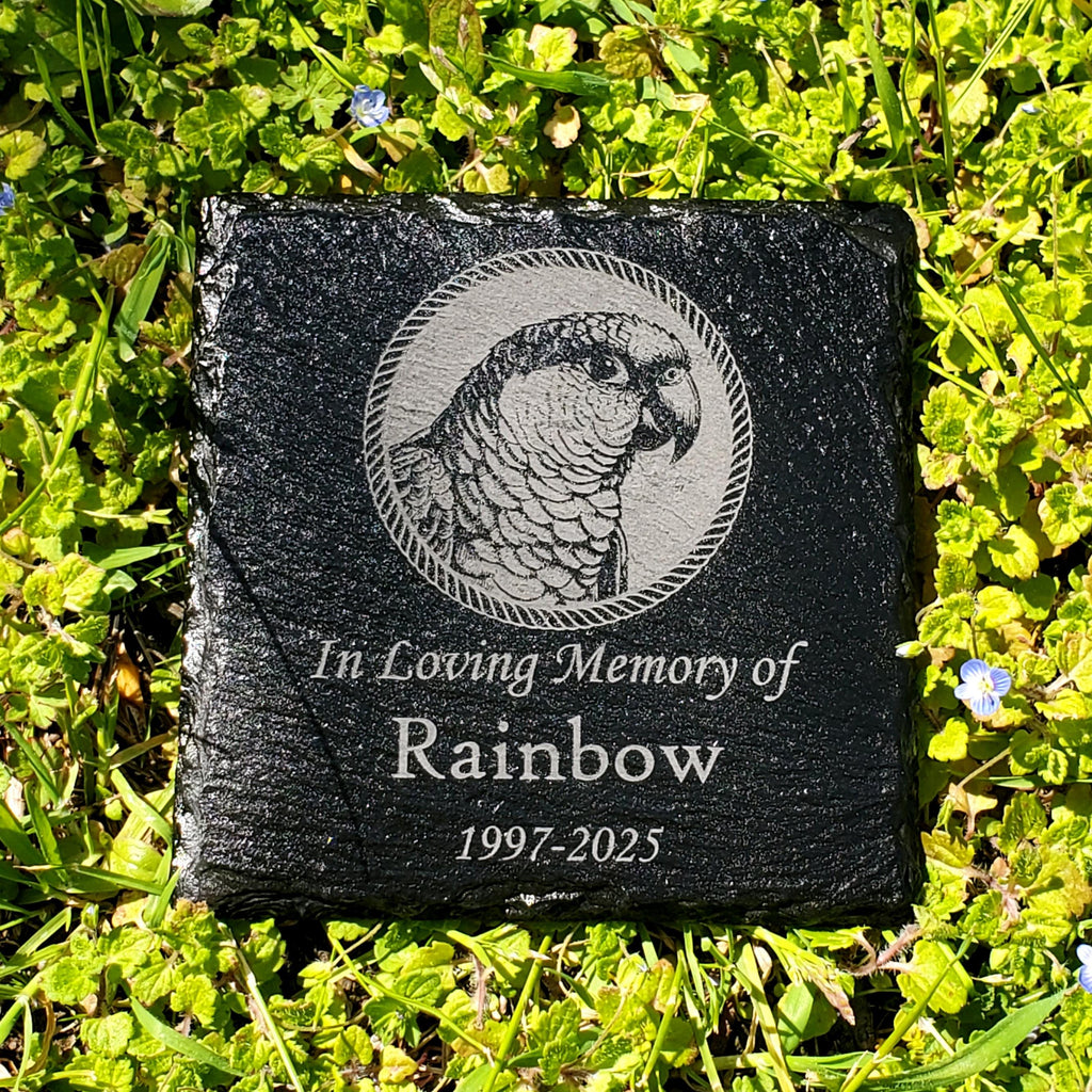 Small Personalized Conure Bird Memorial Stone – Engraved Slate Grave Marker for Pet Parrot