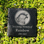 Small Personalized Conure Bird Memorial Stone – Engraved Slate Grave Marker for Pet Parrot