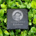 Small Personalized Conure Bird Memorial Stone – Engraved Slate Grave Marker for Pet Parrot