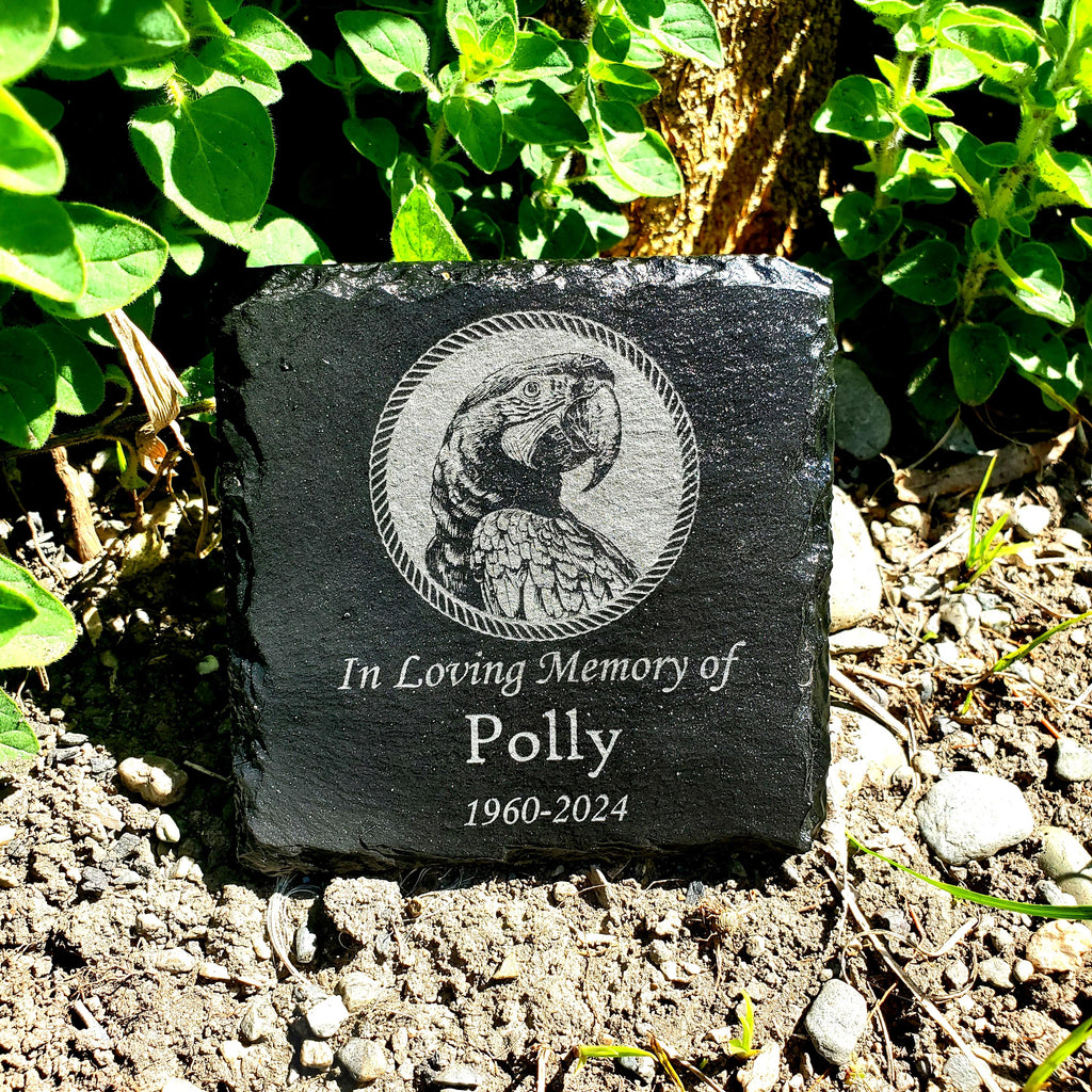 Small Personalized Macaw Bird Memorial Stone – Engraved Slate Grave Marker for Pet Parrot
