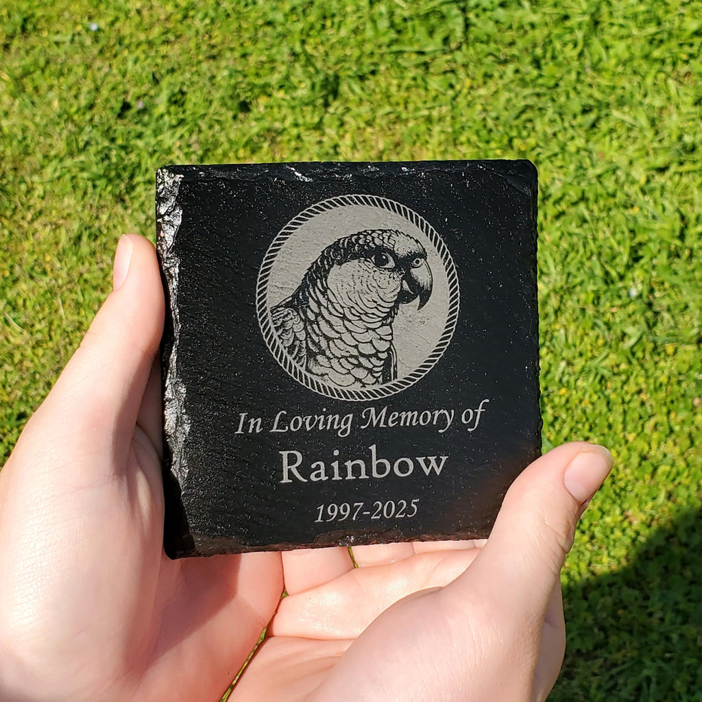 Small Personalized Conure Bird Memorial Stone – Engraved Slate Grave Marker for Pet Parrot