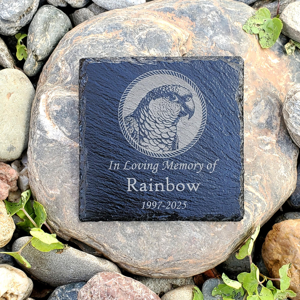 Small Personalized Conure Bird Memorial Stone – Engraved Slate Grave Marker for Pet Parrot