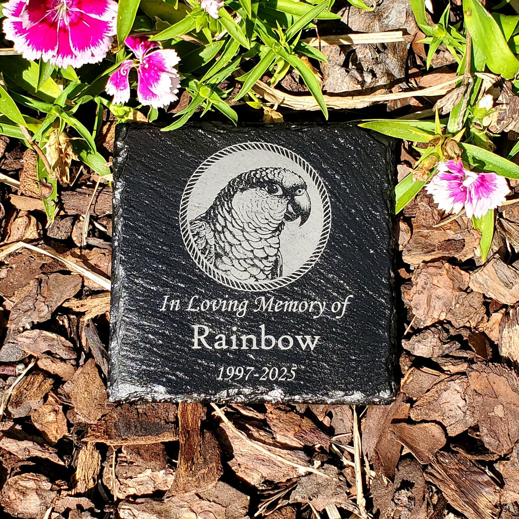 Small Personalized Conure Bird Memorial Stone – Engraved Slate Grave Marker for Pet Parrot