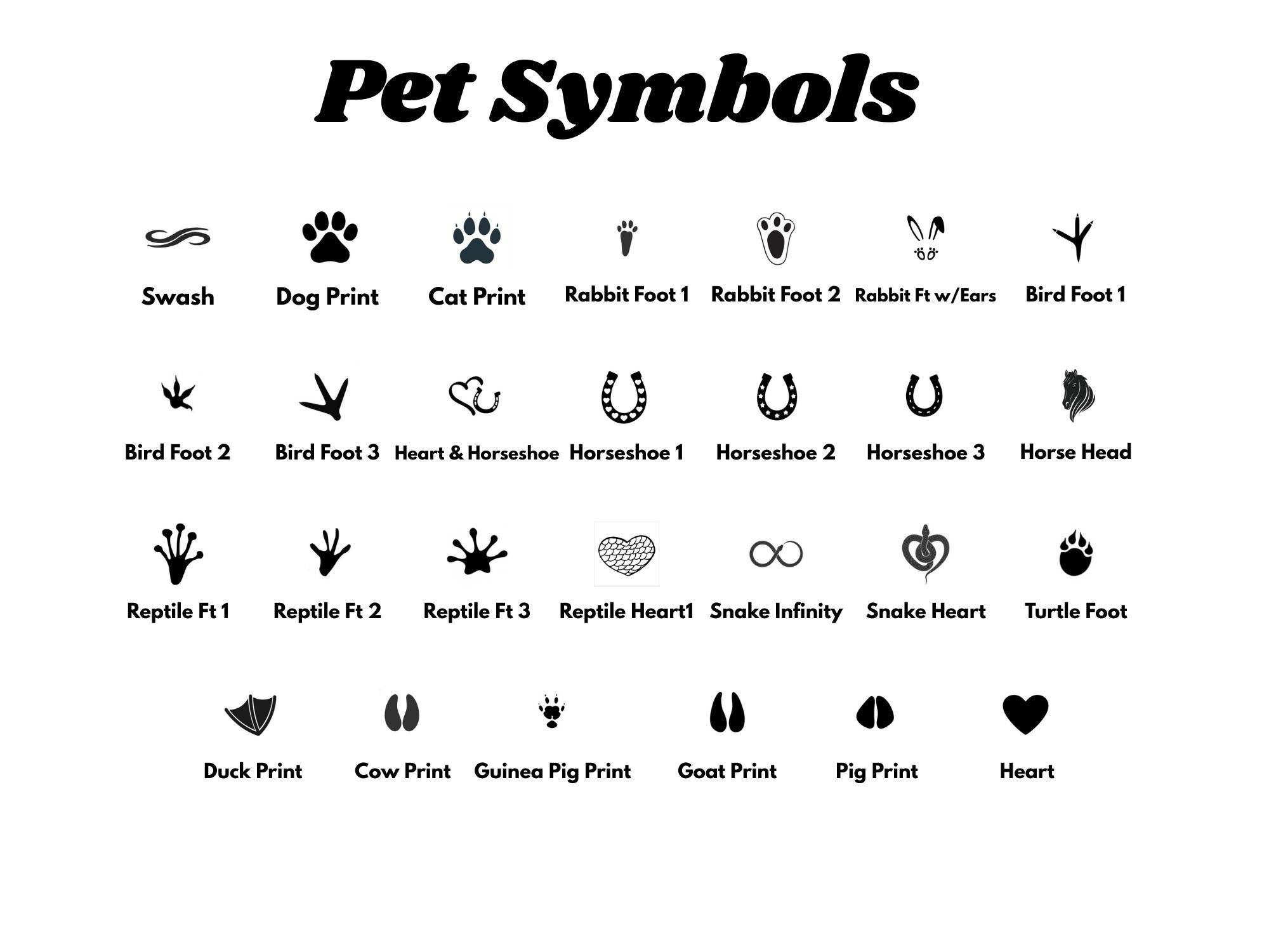 Photo Pet Memorial Gift for Bird Lovers: Parakeet & African Grey Parrot Parakeet Cockatiel Lovebird Memorial Stone | Pet Loss Burial Marker