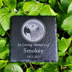 Small Personalized African Gray Bird Memorial Stone – Engraved Slate Grave Marker for Pet Parrot