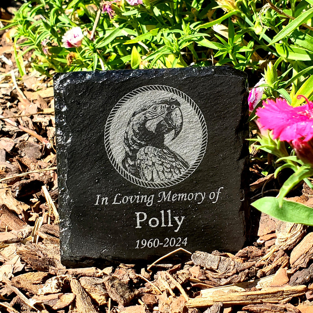 Small Personalized Macaw Bird Memorial Stone – Engraved Slate Grave Marker for Pet Parrot