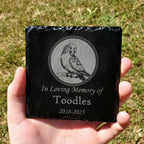 Small Personalized Parakeet Bird Memorial Stone – Engraved Slate Grave Marker for Pet Budgerigar Budgie